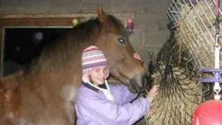 horses xxx