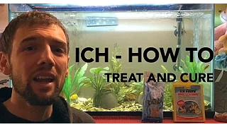 How to treat and Cure Ich (Ick) in an Aquarium - 4 easy steps