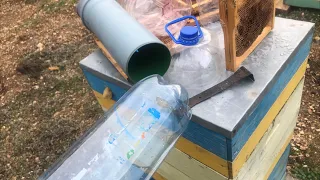 Пчеловодство в бутылках. Жжжбан - мой опыт и планы бесконтактного пчеловождения.