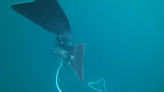 Самая глубокая подводная охота в Черном море