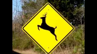 ORIGINAL   Please Move The Deer Crossing Sign  HILARIOUS STUPIDITY  Must Hear!!