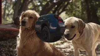 Subaru Dog Tested commercial