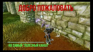 【ArcheAge】9.0 PvP Сервер: Корвус МЫмлики среди наз