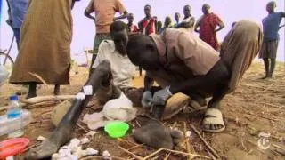 Donald R. Hopkins- Guinea Worm Slayer