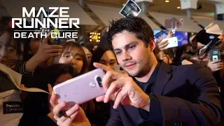 Maze Runner: The Death Cure | Fans Around the World React | 20th Century FOX