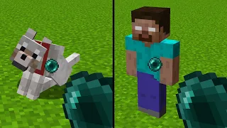 what's inside wolf? what's inside herobrine head?