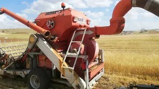 Arpa biçimi 2021konya master of farming mv303