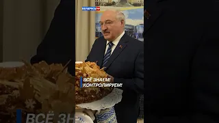 Лукашенко: Всё знаем! Контролируем! #shorts