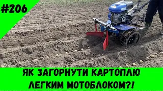 Як загорнути картоплю легким мотоблоком!?