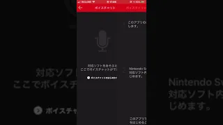 Switchでボイスチャットをする方法