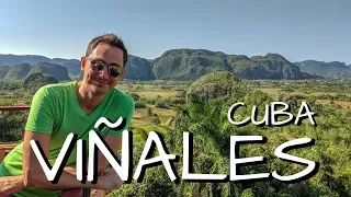 Viñales Cuba desde La Habana en un día – ¿Qué hacer? ¿Cómo llegar? - La ruta del tabaco en Cuba