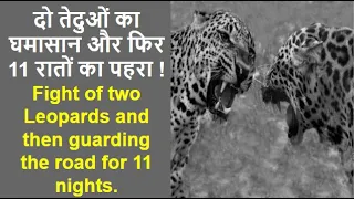 Man-Eating Leopard of Rudraprayag, Part-11 || Jim Corbett || Rudraprayag Man-Eater