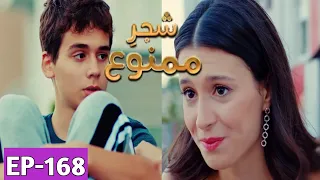 Shajar-e-Mamnu Episode 168 Promo | Turkish Drama | Forbidden Fruit | Urdu Dubb| 30July 2021 | Part-3