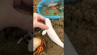 Sea Animal Toys in the Water