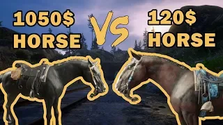 1050 dollar horse VS 120 dollar horse in RDR2 online: Arabian vs Shire