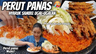 PERUT PANAS⁉️ UGAL-UGALAN NYARUK SAMBEL