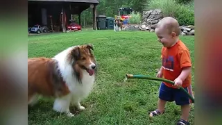 Собаки и дети лучшие друзья. Dogs and Baby, the best video