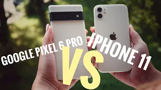 Google pixel 6 Pro vs iPhone 11 Camera 📸 test