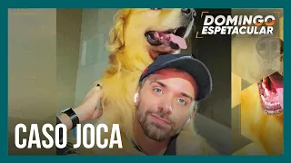 Morte do cachorro Joca após falha de companhia aérea gera comoção nacional