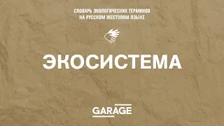 Экосистема