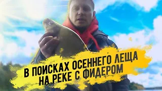 Фидер. В поисках осеннего леща на реке.