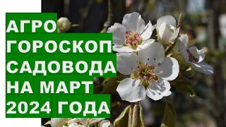 Агрогороскоп садовода на март 2024 года Gardener's agrohoroscope for March 2024