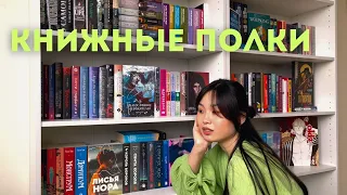 мои книжные полки 📚 организация, расстановка и вопрос-ответ