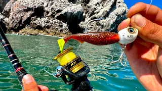 Pesca con SEÑUELOS PLÁSTICOS en ALTAMAR || pescando con VINILOS en MAR ABIERTO || CORVINAS.