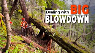 87. Small Wood on a Heli-Logging Job | PowerWedge in action