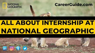 All About Internship At National Geographic | Paid Internships | Important Things to Know