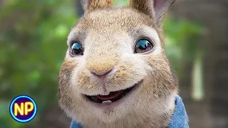 Opening Scene | Peter Rabbit