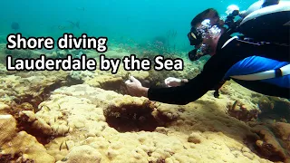 [4K] Shore diving in Lauderdale by the Sea, FL