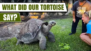 Talking to a 104 year old tortoise what did he have to say,  take a look￼ #short