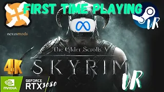 Skyrim VR 【4Kᵁᴴᴰ 60ᶠᵖˢ】 With Mods