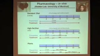 Diabetes: Combining modern science and traditional medicine Part 3