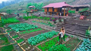 Sang vy resiliently builds her dream farm, animals, crops, harvesting, cooking, thao vy farm