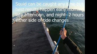 Learn How to Catch Squid Using Float Setup | High Success Rate!