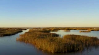 Galveston Area Scenic Wetland