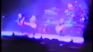 Paul McCartney Live At The Palatrussardi, Milan, Italy (Thursday 26th October 1989)
