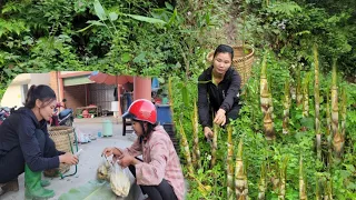 Picking bamboo shoots, picking more fruit to sell at the market and cooking at home_Lý Thị Thu