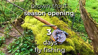 Bachforelle Saisonstart 3 Tage Fliegenfischen / brown trout SEASON OPENING 3days Flyfishing
