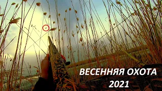 ВЕСЕННЯ ОХОТА 2021!!! ПРАВИЛЬНОЕ МЕСТО - ЗАЛОГ УСПЕХА!!! / MAX HUNTER