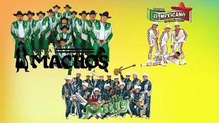 Banda machos vs banda maguey vs banda El mexicano duelo de grandes grupos de México quebradita mix