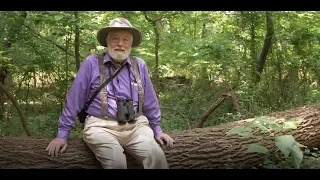 How to Get Started as a Naturalist with Henry Horn