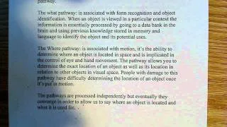 Major pathways for visual processing in the visual cortex