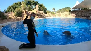 Dolphins - S01E06 - Loro Parque LIFE