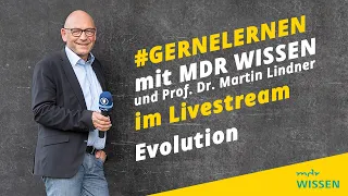 Evolution | #gernelernen mit MDR WISSEN | gernelernen mit MDR Wissen | MDR