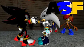 Shadow and Silver's argument goes too far