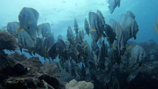 Magic Mountain, Misool, South Raja Ampat