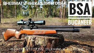 Пневматическая РСР винтовка  BSA Bucaneer SE. Полный обзор и полевой тест на мощность и точность.